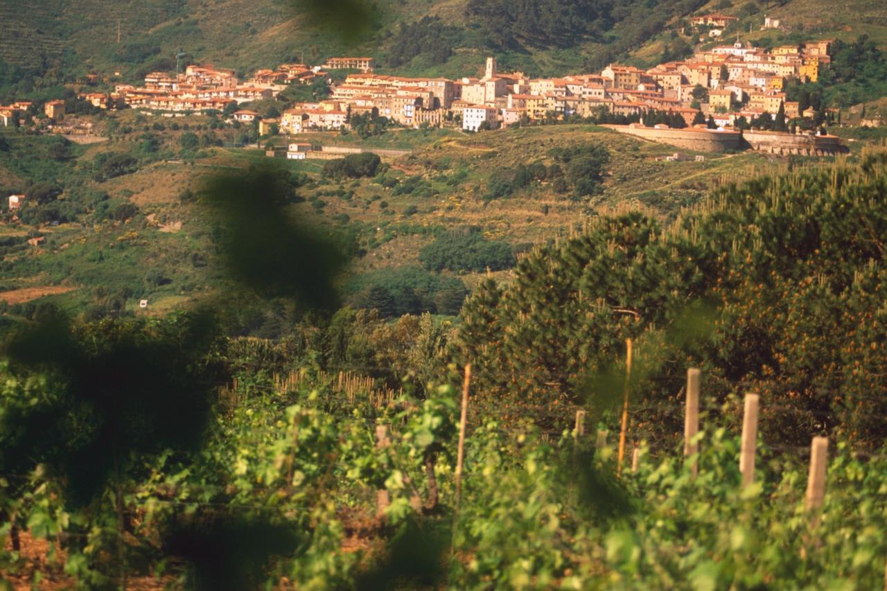 אפרטהוטל Rio dellʼElba La Chiusa Di Rio מראה חיצוני תמונה